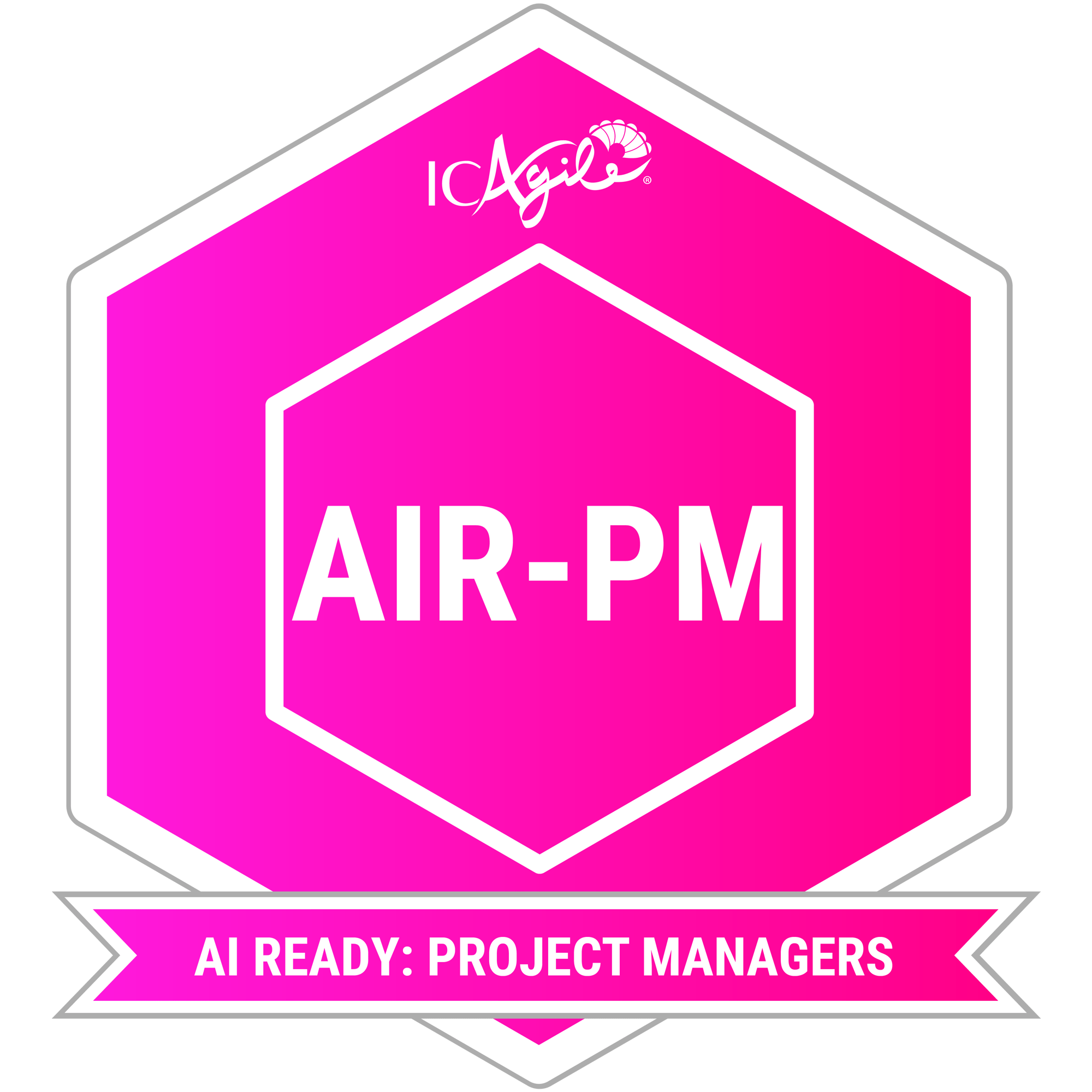 AIR-PM badge@2x