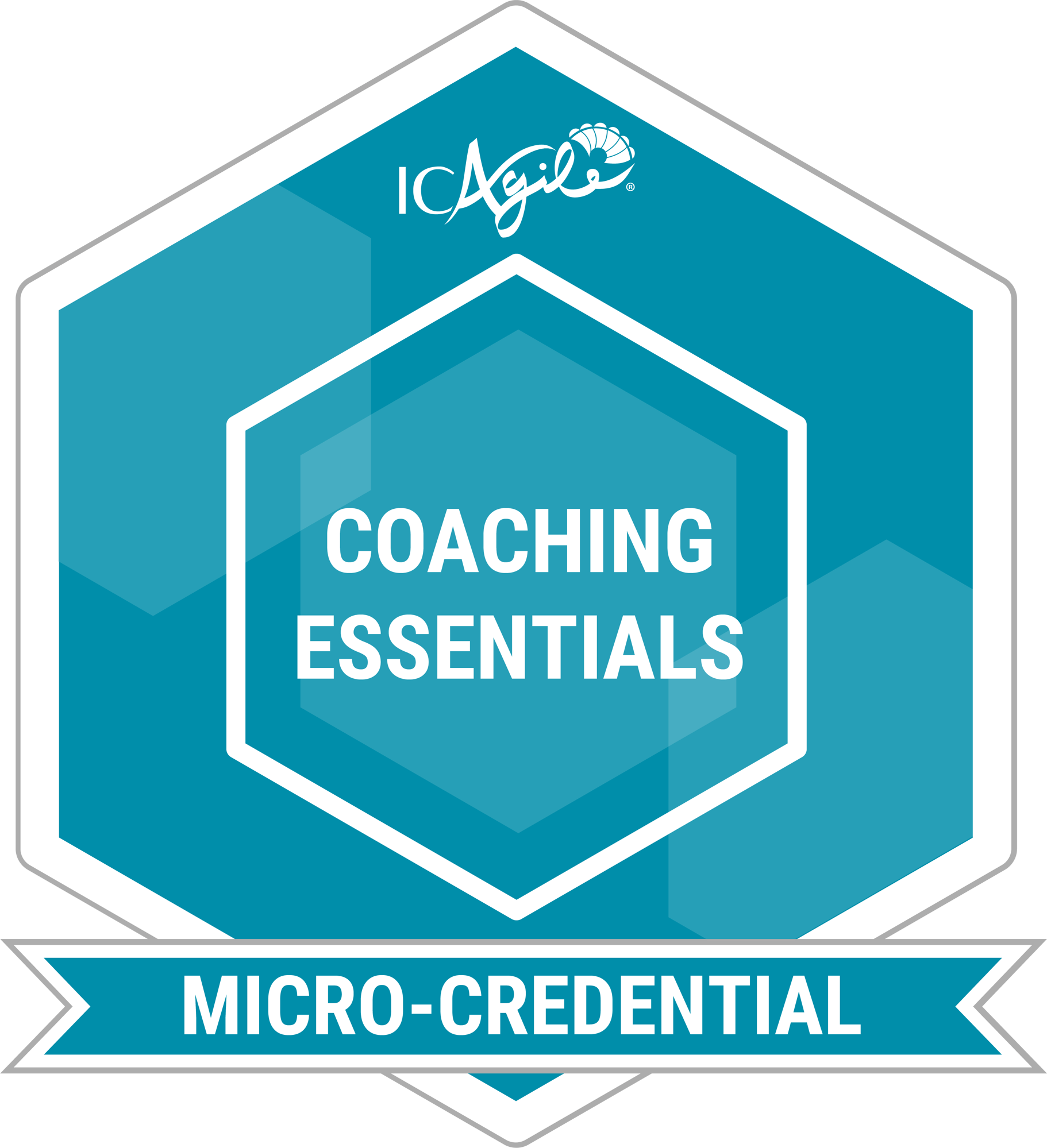 Coaching Essentials@2x